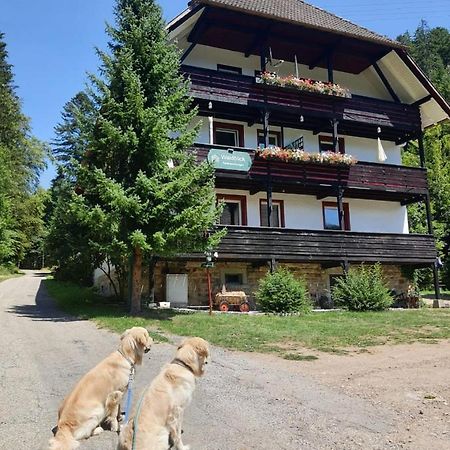 Waldblick Ferienwohnungen Bonndorf im Schwarzwald Esterno foto