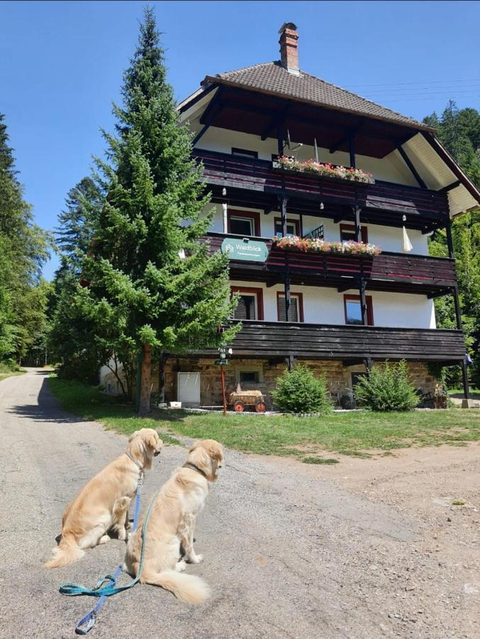 Waldblick Ferienwohnungen Bonndorf im Schwarzwald Esterno foto